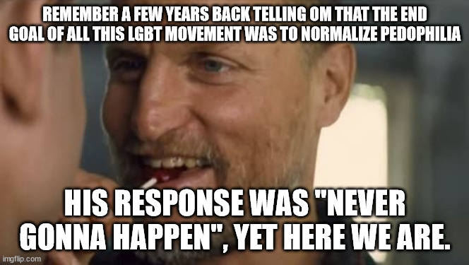 Woody Harrelson | REMEMBER A FEW YEARS BACK TELLING OM THAT THE END GOAL OF ALL THIS LGBT MOVEMENT WAS TO NORMALIZE PEDOPHILIA HIS RESPONSE WAS "NEVER GONNA H | image tagged in woody harrelson | made w/ Imgflip meme maker