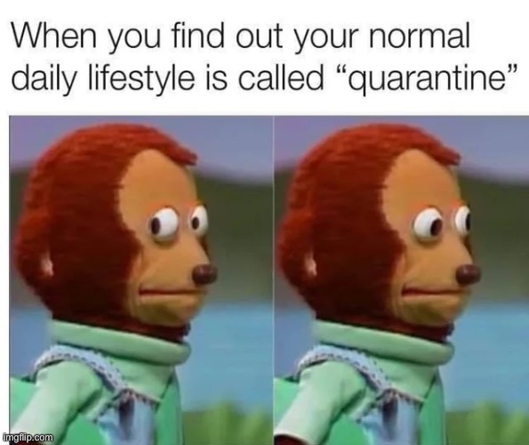 image tagged in memes | made w/ Imgflip meme maker