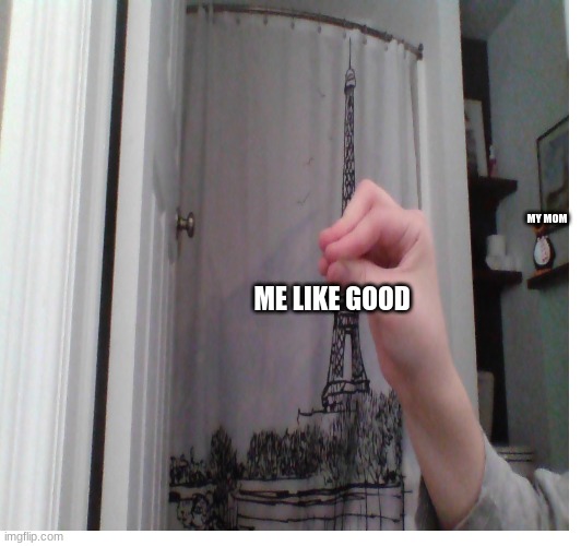 like good hand and the penguin in the dark | MY MOM; ME LIKE GOOD | image tagged in new meme | made w/ Imgflip meme maker