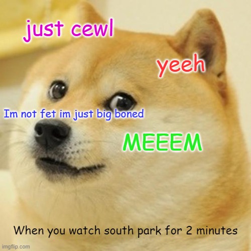 Doge Meme | just cewl; yeeh; Im not fet im just big boned; MEEEM; When you watch south park for 2 minutes | image tagged in memes,doge | made w/ Imgflip meme maker