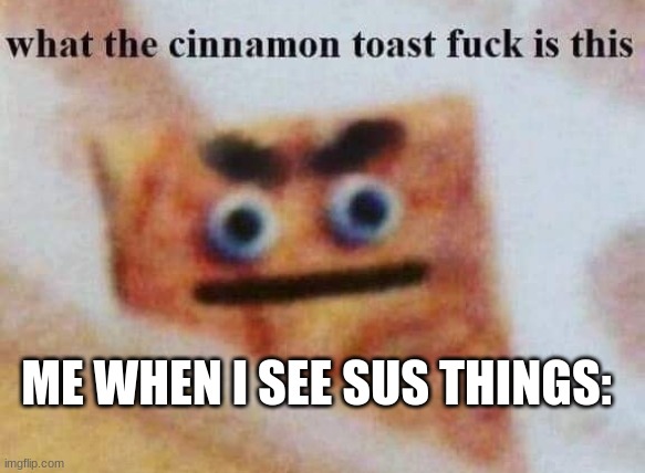 True stuff | ME WHEN I SEE SUS THINGS: | image tagged in what the cinnamon toast f is this | made w/ Imgflip meme maker