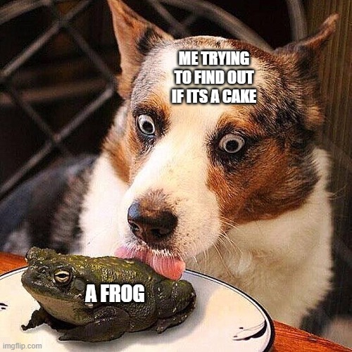 I don't know what is and isn't a cake these days | ME TRYING TO FIND OUT IF ITS A CAKE; A FROG | image tagged in dog licking a frog | made w/ Imgflip meme maker