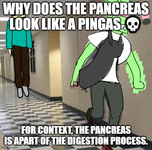 panpingas | WHY DOES THE PANCREAS LOOK LIKE A PINGAS 💀; FOR CONTEXT, THE PANCREAS IS APART OF THE DIGESTION PROCESS. | image tagged in tweek chases tweak | made w/ Imgflip meme maker