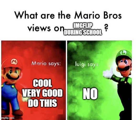 Mario Bros Views | IMGFLIP DURING SCHOOL; COOL VERY GOOD DO THIS; NO | image tagged in mario bros views | made w/ Imgflip meme maker