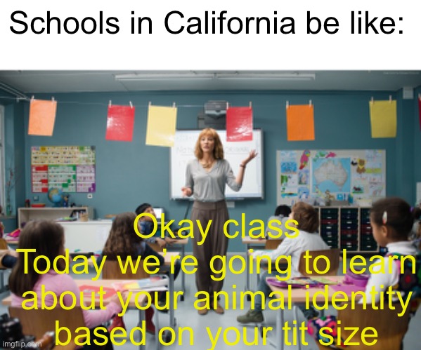 Meme #924 | Schools in California be like:; Okay class
Today we’re going to learn about your animal identity based on your tit size | image tagged in school,furries,furry,true,memes,california | made w/ Imgflip meme maker