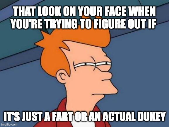 what is it? | THAT LOOK ON YOUR FACE WHEN YOU'RE TRYING TO FIGURE OUT IF; IT'S JUST A FART OR AN ACTUAL DUKEY | image tagged in memes,futurama fry | made w/ Imgflip meme maker