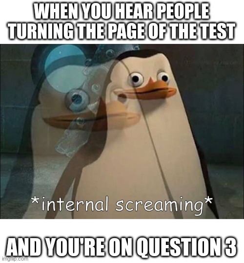 private internally screaming | WHEN YOU HEAR PEOPLE TURNING THE PAGE OF THE TEST; AND YOU'RE ON QUESTION 3 | image tagged in private internal screaming,test | made w/ Imgflip meme maker