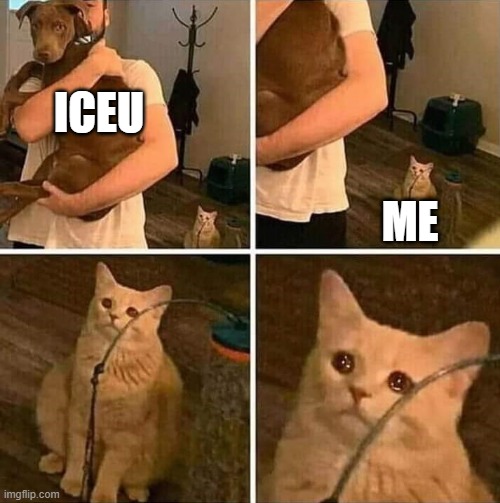 Ignored cat | ICEU ME | image tagged in ignored cat | made w/ Imgflip meme maker