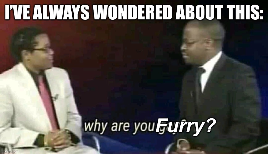 Curious me | I’VE ALWAYS WONDERED ABOUT THIS:; Furry? | image tagged in why are you gay | made w/ Imgflip meme maker