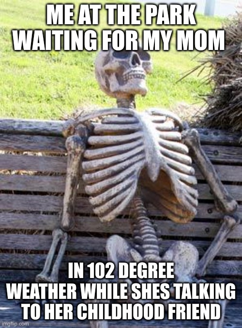 Waiting Skeleton | ME AT THE PARK WAITING FOR MY MOM; IN 102 DEGREE WEATHER WHILE SHES TALKING TO HER CHILDHOOD FRIEND | image tagged in memes,waiting skeleton | made w/ Imgflip meme maker