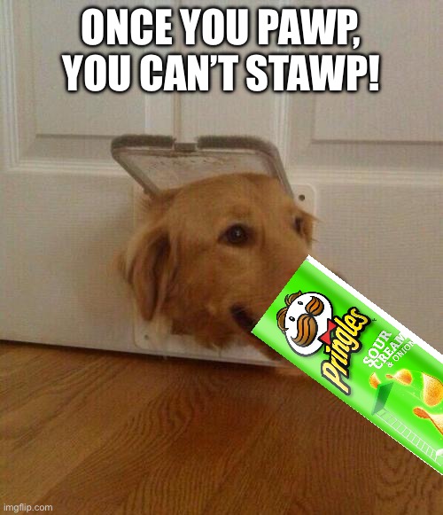 Dog door | ONCE YOU PAWP, YOU CAN’T STAWP! | image tagged in dog door | made w/ Imgflip meme maker