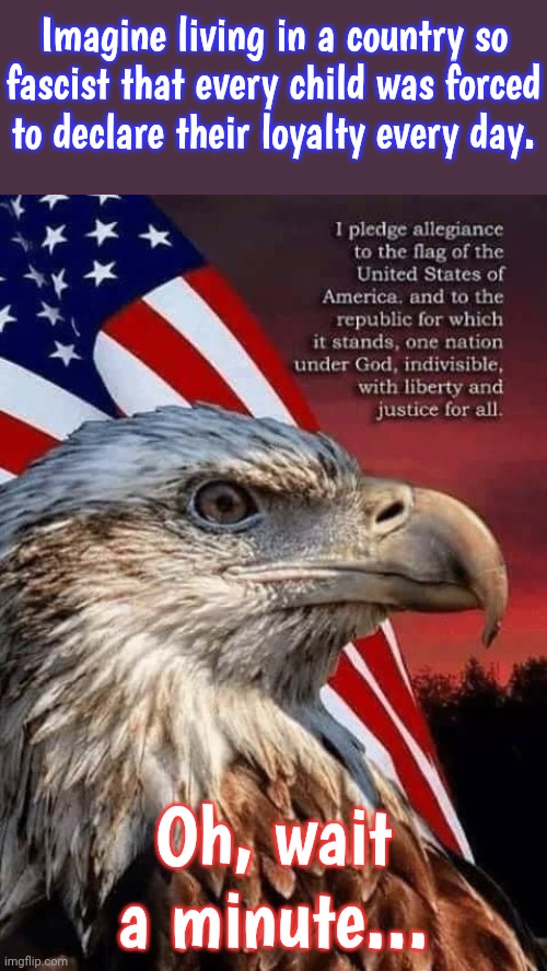 The Philippines is the only other country with a flag pledge. | Imagine living in a country so fascist that every child was forced to declare their loyalty every day. Oh, wait a minute... | image tagged in pledge,american flag,obey,big brother,patriotism | made w/ Imgflip meme maker