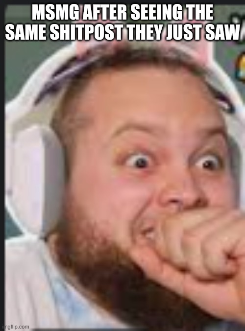 MSMG AFTER SEEING THE SAME SHITPOST THEY JUST SAW | made w/ Imgflip meme maker