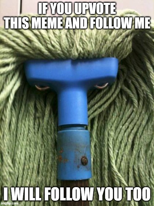 Angry Mop | IF YOU UPVOTE THIS MEME AND FOLLOW ME; I WILL FOLLOW YOU TOO | image tagged in angry mop | made w/ Imgflip meme maker
