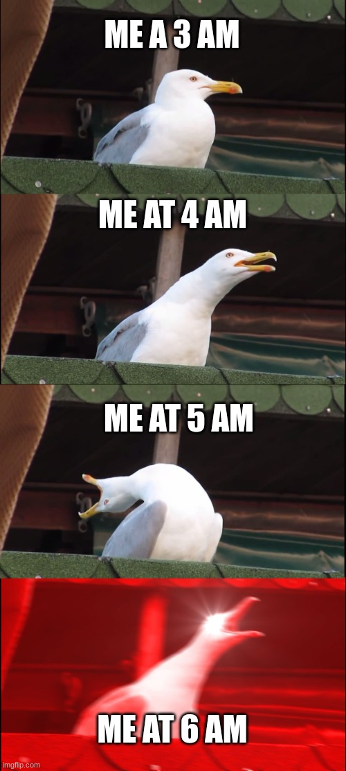 me at some time | ME A 3 AM; ME AT 4 AM; ME AT 5 AM; ME AT 6 AM | image tagged in laughing leo | made w/ Imgflip meme maker