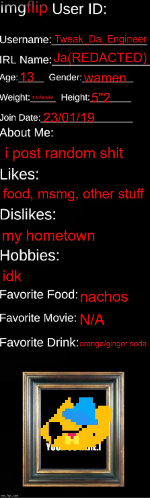 imgflip ID Card | Tweak_Da_Engineer; Ja(REDACTED); 13; wamen; moderate; 5"2; 23/01/19; i post random shit; food, msmg, other stuff; my hometown; idk; nachos; N/A; orange/ginger soda | image tagged in imgflip id card | made w/ Imgflip meme maker