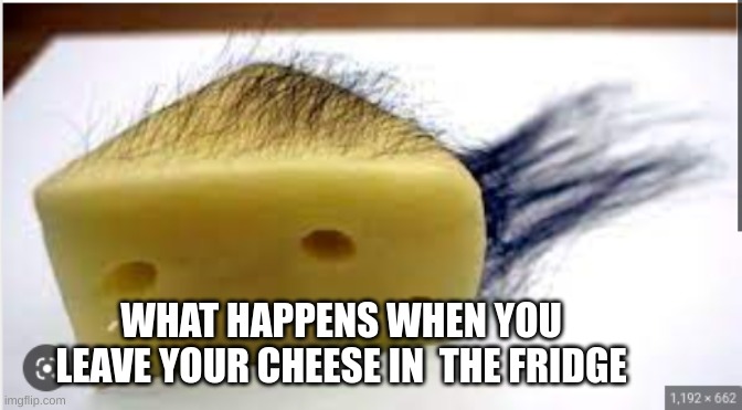 WHAT HAPPENS WHEN YOU LEAVE YOUR CHEESE IN  THE FRIDGE | image tagged in chez | made w/ Imgflip meme maker