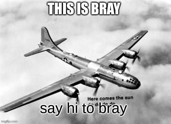 say hi to make friend and +1 follower | THIS IS BRAY; say hi to bray | image tagged in here comes the sun dodododo b29,memes,friends,dank memes,dark humor,oh wow are you actually reading these tags | made w/ Imgflip meme maker