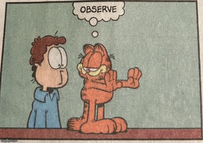 Garfield Observe | image tagged in garfield observe | made w/ Imgflip meme maker