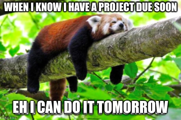 Eh | WHEN I KNOW I HAVE A PROJECT DUE SOON; EH I CAN DO IT TOMORROW | image tagged in sleep | made w/ Imgflip meme maker