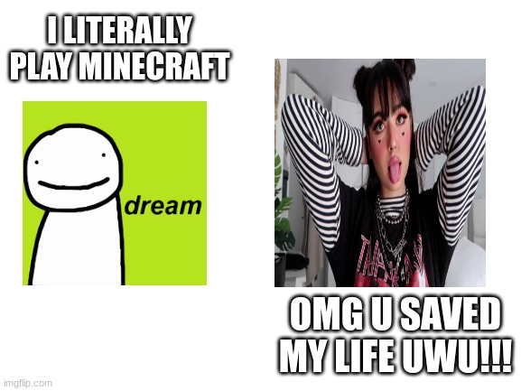 this is why i f**king hate children, @ my school there are dsmp fangirls who follow me around at lunch break and bother me | I LITERALLY PLAY MINECRAFT; OMG U SAVED MY LIFE UWU!!! | image tagged in blank white template | made w/ Imgflip meme maker
