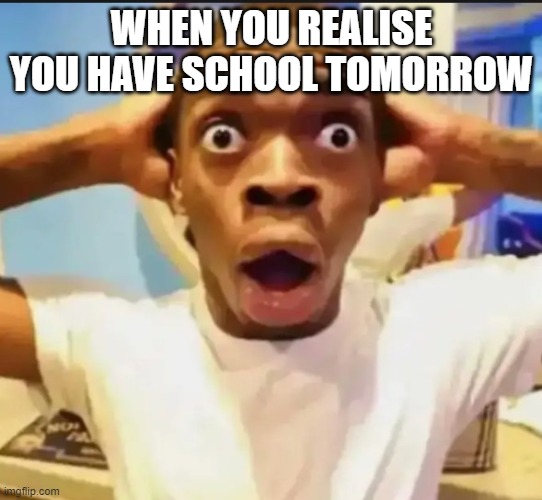 Surprised Black Guy | WHEN YOU REALISE YOU HAVE SCHOOL TOMORROW | image tagged in surprised black guy | made w/ Imgflip meme maker