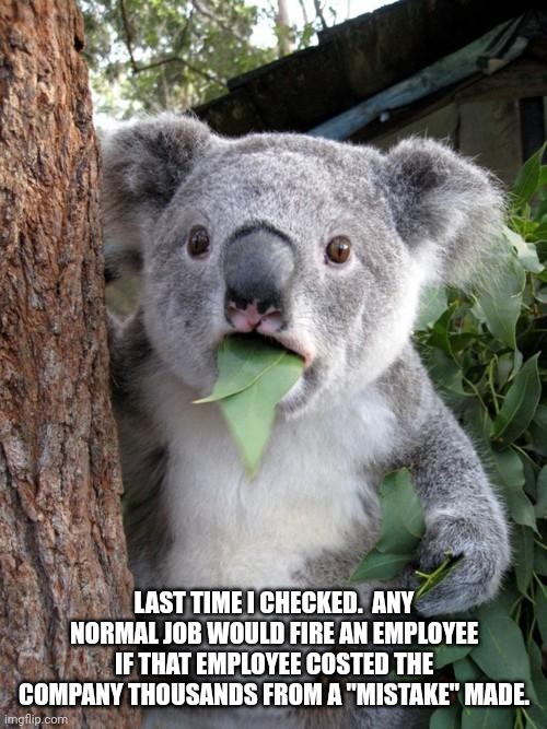 Surprised Koala Meme | LAST TIME I CHECKED.  ANY NORMAL JOB WOULD FIRE AN EMPLOYEE IF THAT EMPLOYEE COSTED THE COMPANY THOUSANDS FROM A "MISTAKE" MADE. | image tagged in memes,surprised koala | made w/ Imgflip meme maker