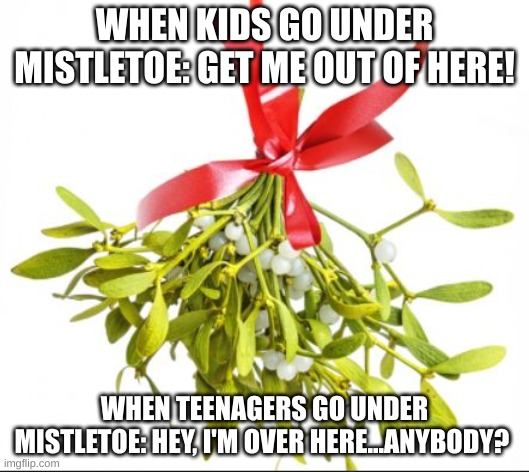 mistletoe | WHEN KIDS GO UNDER MISTLETOE: GET ME OUT OF HERE! WHEN TEENAGERS GO UNDER MISTLETOE: HEY, I'M OVER HERE...ANYBODY? | image tagged in mistletoe | made w/ Imgflip meme maker