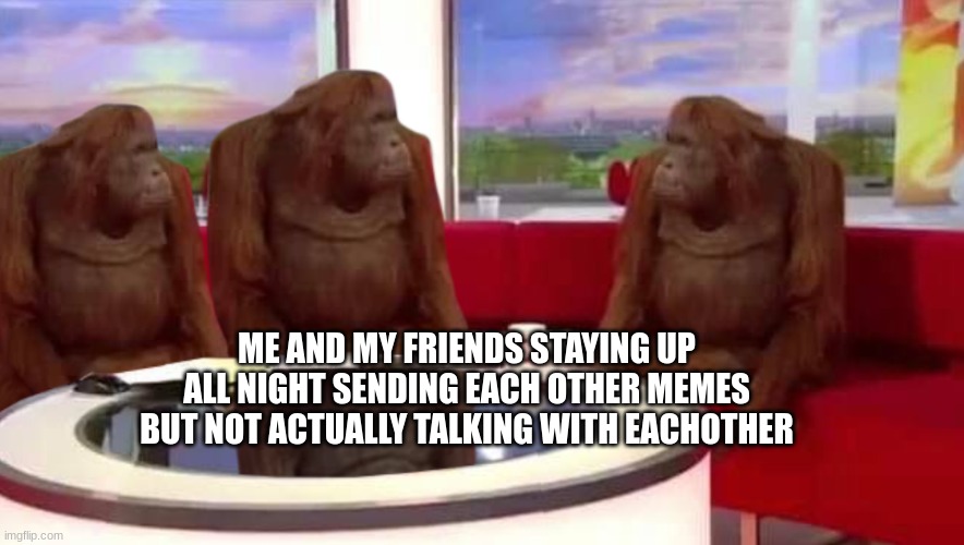 where monkey | ME AND MY FRIENDS STAYING UP ALL NIGHT SENDING EACH OTHER MEMES BUT NOT ACTUALLY TALKING WITH EACHOTHER | image tagged in where monkey | made w/ Imgflip meme maker