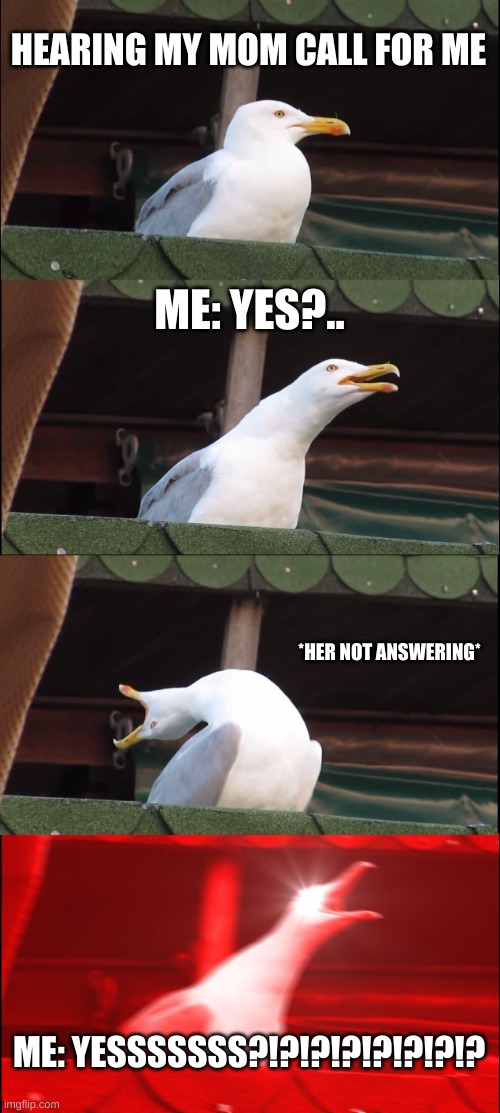 Inhaling Seagull | HEARING MY MOM CALL FOR ME; ME: YES?.. *HER NOT ANSWERING*; ME: YESSSSSSS?!?!?!?!?!?!?!? | image tagged in memes,inhaling seagull | made w/ Imgflip meme maker