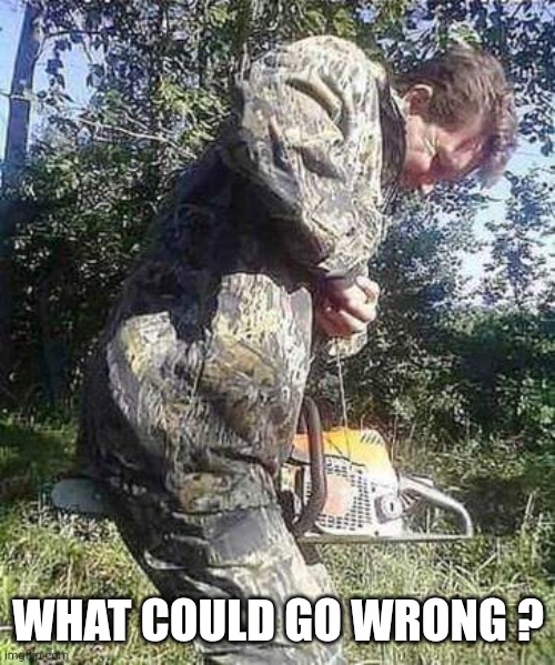 Chainsaw safety | WHAT COULD GO WRONG ? | image tagged in chainsaw safety | made w/ Imgflip meme maker
