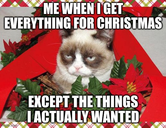 Grumpy Cat Mistletoe Meme | ME WHEN I GET EVERYTHING FOR CHRISTMAS; EXCEPT THE THINGS I ACTUALLY WANTED | image tagged in memes,grumpy cat mistletoe,grumpy cat | made w/ Imgflip meme maker