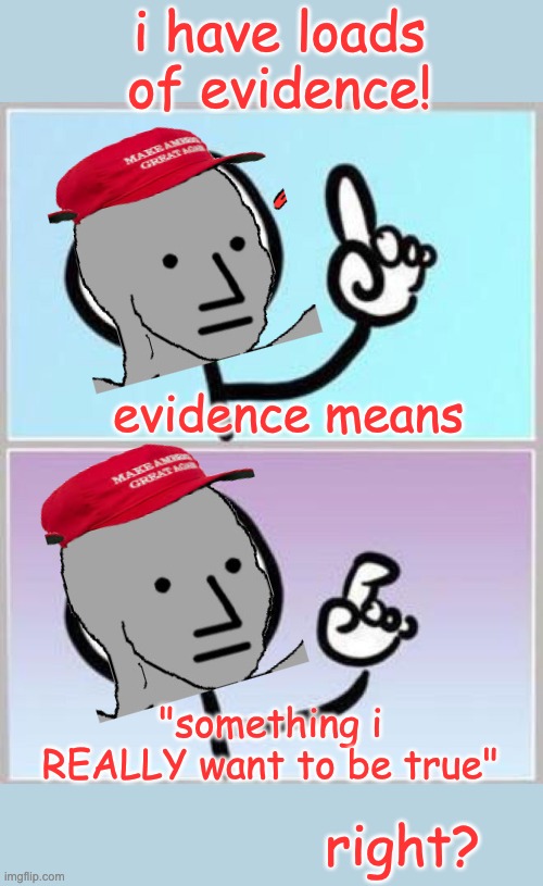 Wait what? | i have loads of evidence! right? evidence means "something i REALLY want to be true" | image tagged in wait what | made w/ Imgflip meme maker