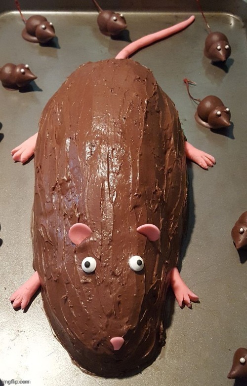 i made it a template | image tagged in chocolate rat | made w/ Imgflip meme maker