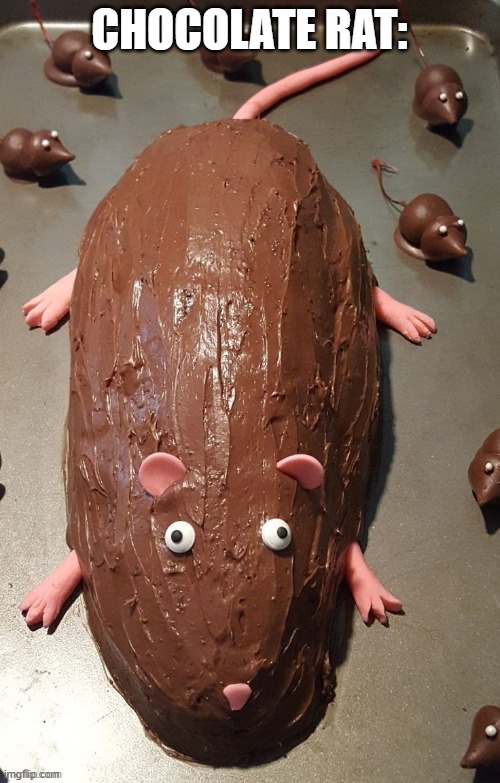 chocolate rat | CHOCOLATE RAT: | image tagged in chocolate rat | made w/ Imgflip meme maker