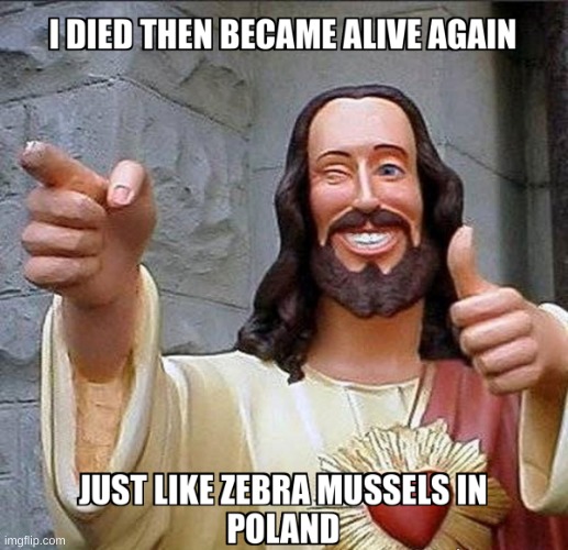 meme | image tagged in memes,buddy christ | made w/ Imgflip meme maker