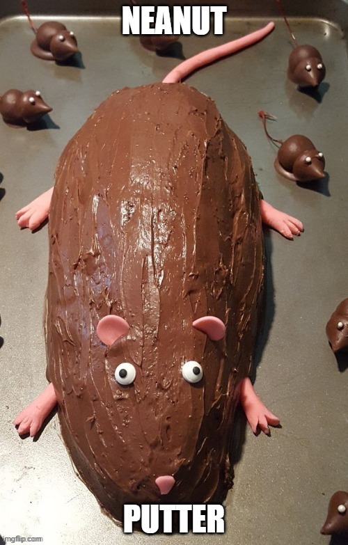 chocolate rat | NEANUT; PUTTER | image tagged in chocolate rat | made w/ Imgflip meme maker