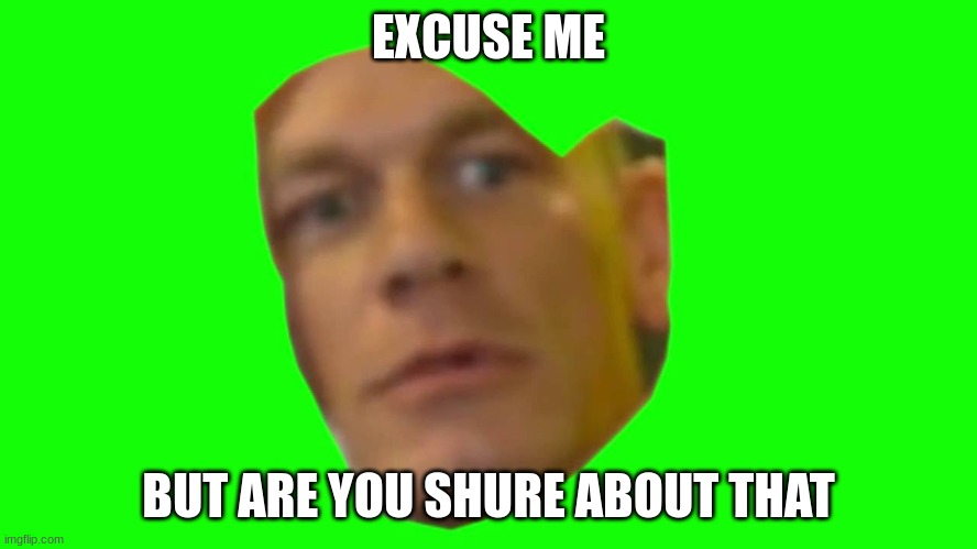 Are you sure about that? (Cena) | EXCUSE ME BUT ARE YOU SHURE ABOUT THAT | image tagged in are you sure about that cena | made w/ Imgflip meme maker