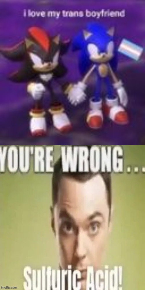 sONIC IS NOT TRANS | image tagged in youre wrong sulfuric acid | made w/ Imgflip meme maker