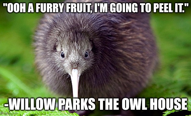 kiwi | "OOH A FURRY FRUIT, I'M GOING TO PEEL IT."; -WILLOW PARKS THE OWL HOUSE | image tagged in kiwi | made w/ Imgflip meme maker