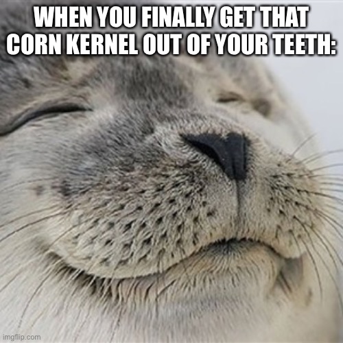 Out of panik, kalm. | WHEN YOU FINALLY GET THAT CORN KERNEL OUT OF YOUR TEETH: | image tagged in content seal,corn,teeth | made w/ Imgflip meme maker