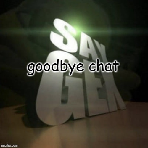 say gex | goodbye chat | image tagged in say gex | made w/ Imgflip meme maker