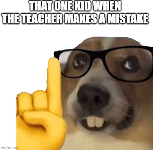 that one kid | THAT ONE KID WHEN THE TEACHER MAKES A MISTAKE | image tagged in actually dog | made w/ Imgflip meme maker