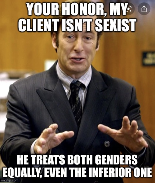 lmao | YOUR HONOR, MY CLIENT ISN’T SEXIST; HE TREATS BOTH GENDERS EQUALLY, EVEN THE INFERIOR ONE | image tagged in your honor | made w/ Imgflip meme maker