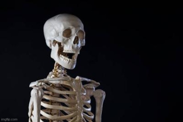 Skelly Welly Still Waiting | image tagged in skelly welly still waiting | made w/ Imgflip meme maker