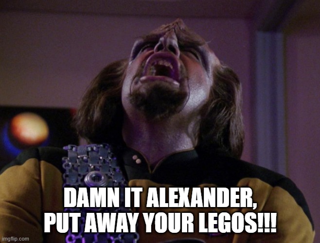 Legos, Even in the 24th C | DAMN IT ALEXANDER, PUT AWAY YOUR LEGOS!!! | image tagged in worf screams | made w/ Imgflip meme maker