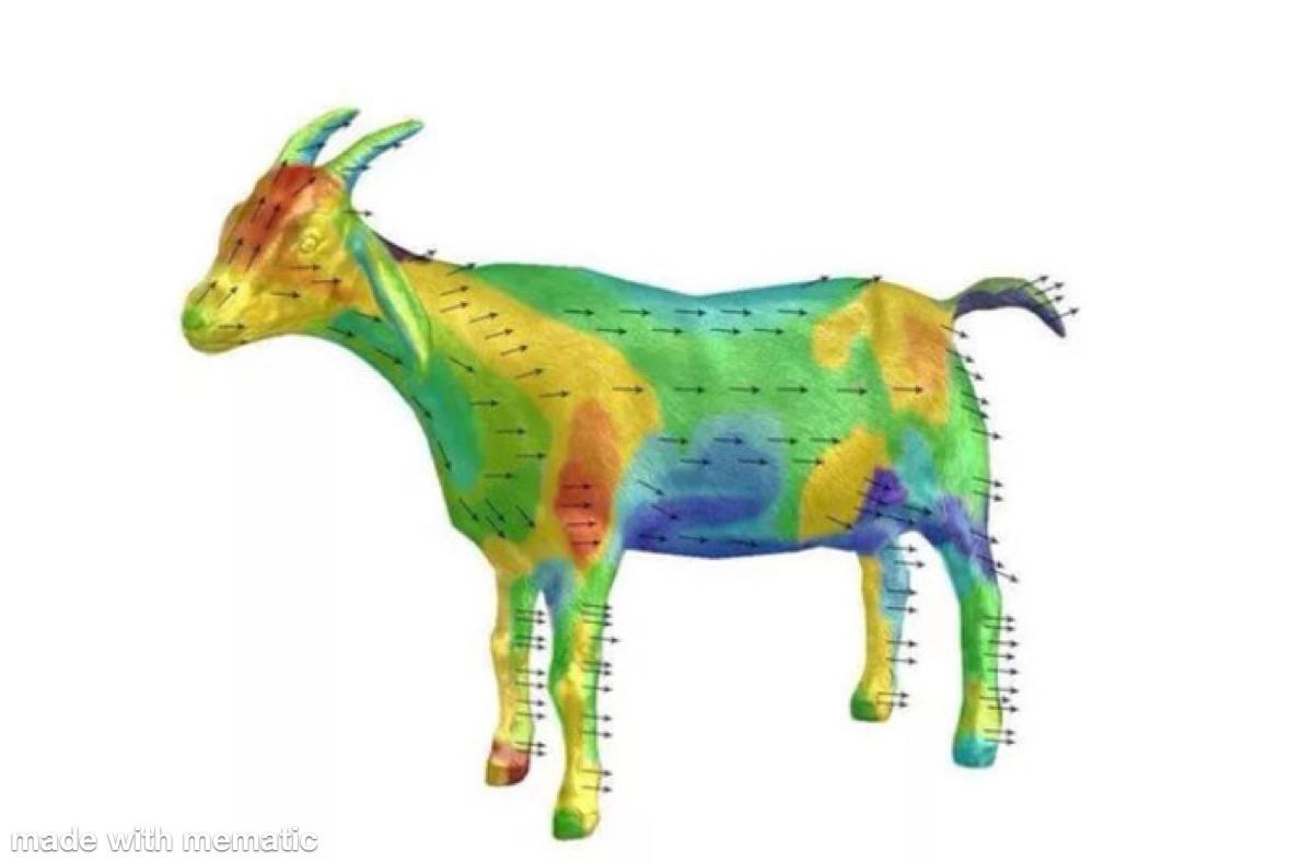 Aerodynamics of a goat Blank Meme Template