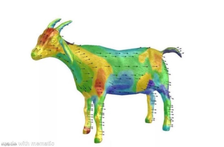 Aerodynamics of a goat | image tagged in aerodynamics of a goat,random,funny,memes | made w/ Imgflip meme maker