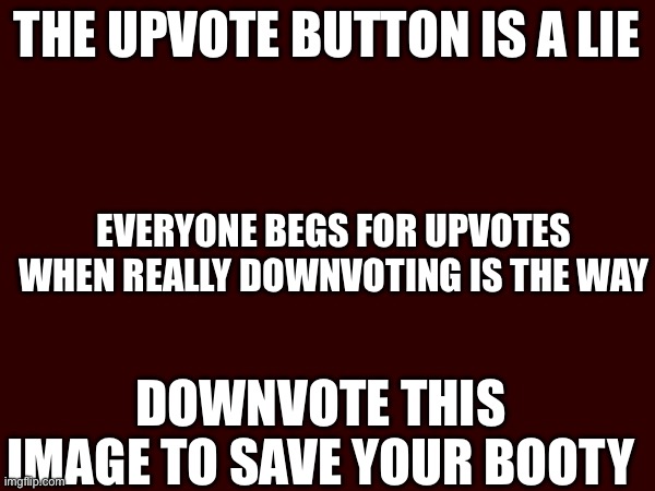 THE UPVOTE BUTTON IS A LIE; EVERYONE BEGS FOR UPVOTES WHEN REALLY DOWNVOTING IS THE WAY; DOWNVOTE THIS IMAGE TO SAVE YOUR BOOTY | image tagged in fun | made w/ Imgflip meme maker