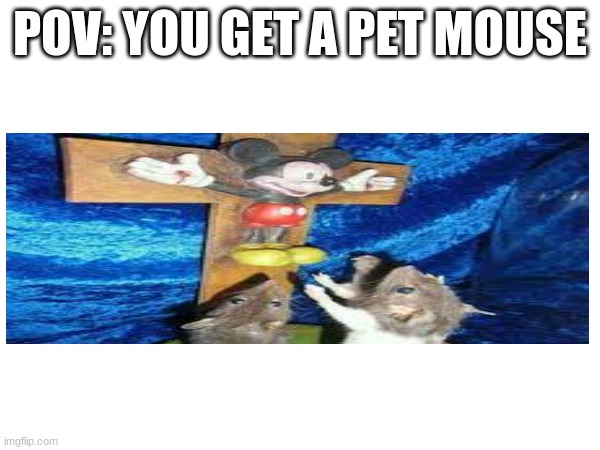 mouse | POV: YOU GET A PET MOUSE | image tagged in memes,funny,mickey mouse | made w/ Imgflip meme maker